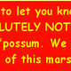 Illustration for article titled A North Carolina town drops a possum at midnight on New Year's Eve